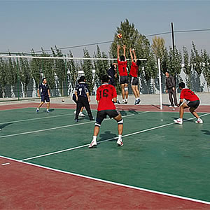 其它/Volleyball court/排球场